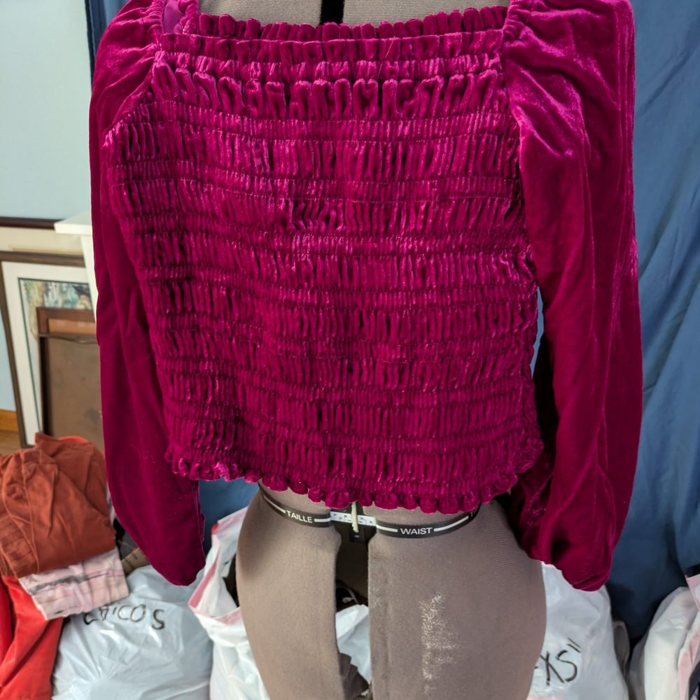 Anthropologie Velvet Shirred Crop Top in Magenta